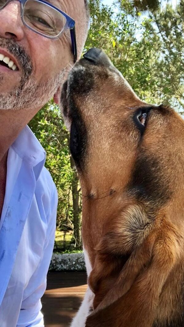 Manuel Luís Goucha, cão, goucha com animais