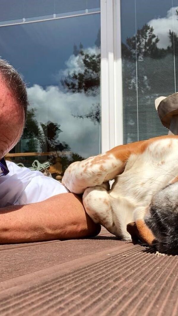 Manuel Luís Goucha, cão, goucha com animais