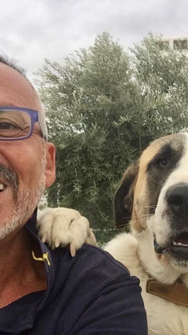 Manuel Luís Goucha, cão, goucha com animais