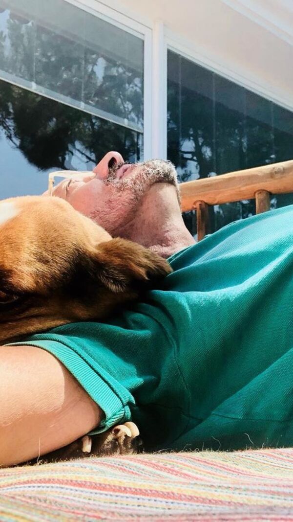 Manuel Luís Goucha, cão, goucha com animais