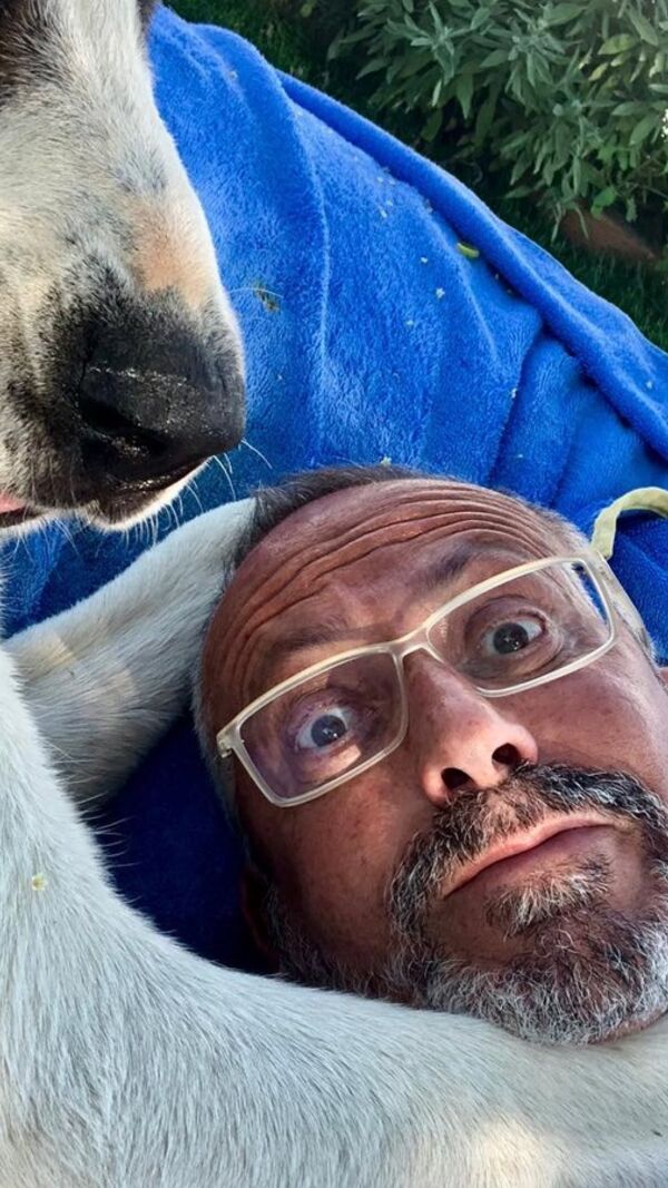 Manuel Luís Goucha, cão, goucha com animais
