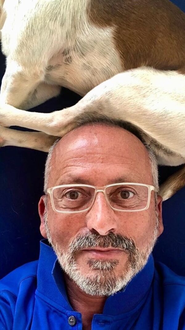 Manuel Luís Goucha, cão, goucha com animais