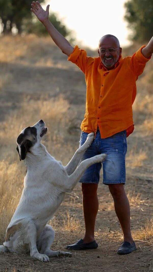 Manuel Luís Goucha, cão, goucha com animais