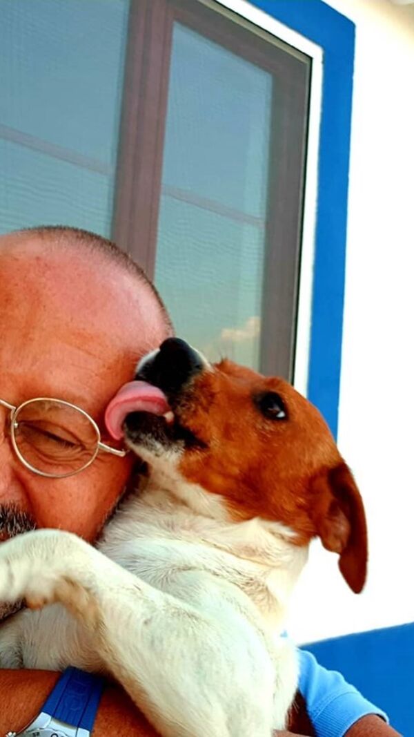 Manuel Luís Goucha, cão, goucha com animais