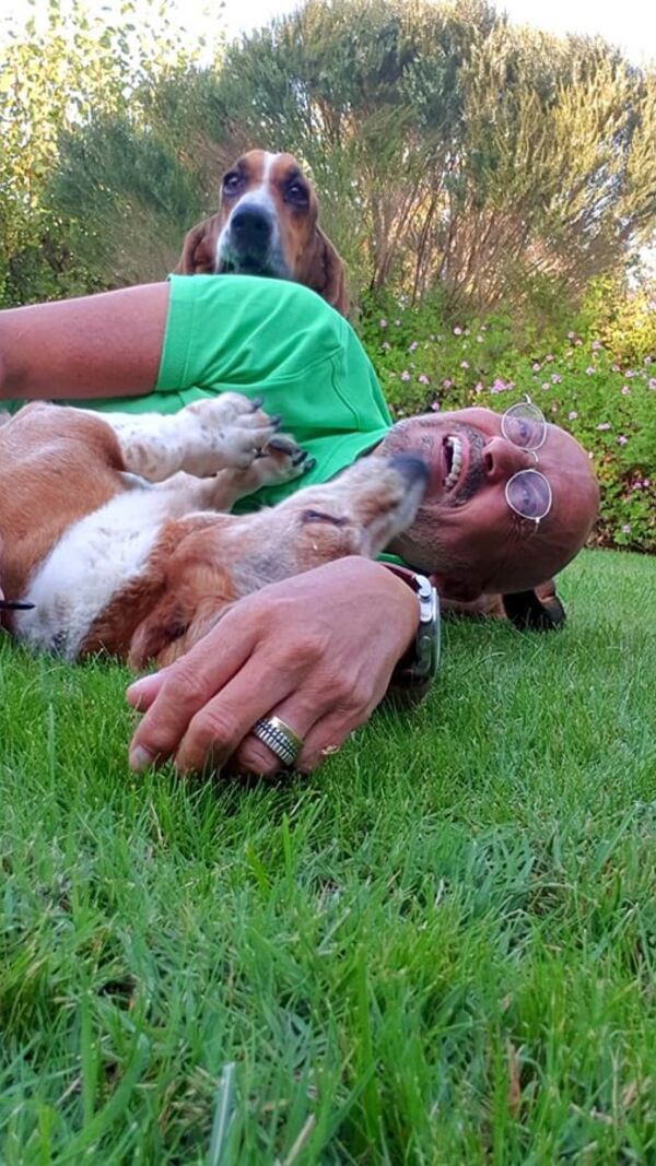 Manuel Luís Goucha, cão, goucha com animais
