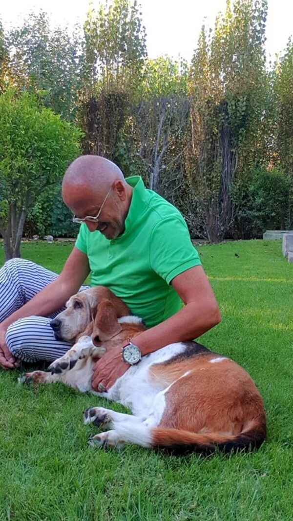 Manuel Luís Goucha, cão, goucha com animais