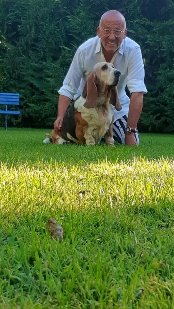 Manuel Luís Goucha, cão, goucha com animais