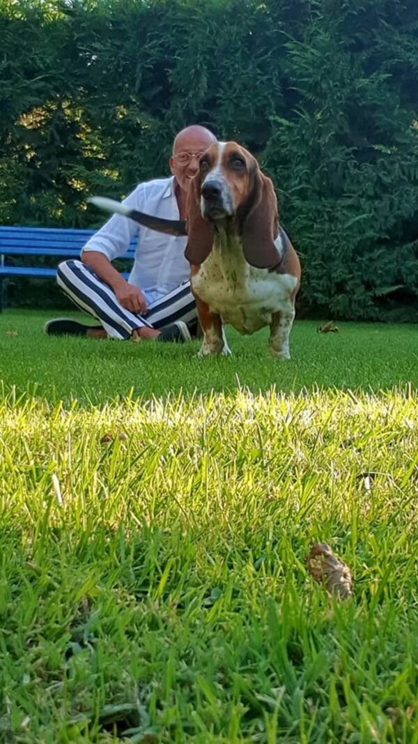 Manuel Luís Goucha, cão, goucha com animais