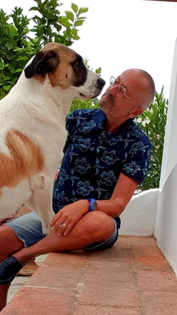Manuel Luís Goucha, cão, goucha com animais