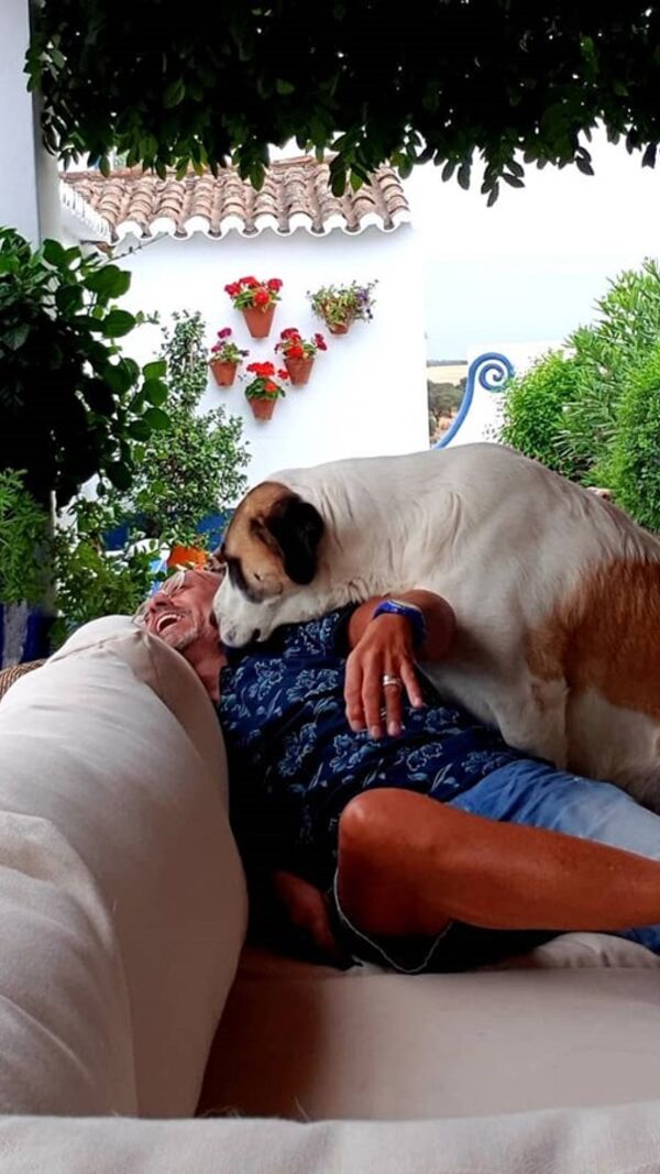 Manuel Luís Goucha, cão, goucha com animais
