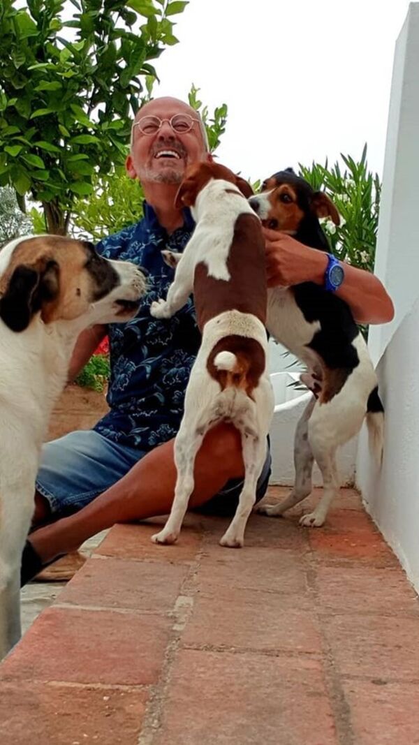 Manuel Luís Goucha, cão, goucha com animais