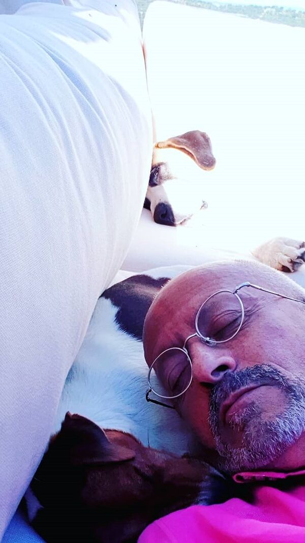 Manuel Luís Goucha, cão, goucha com animais