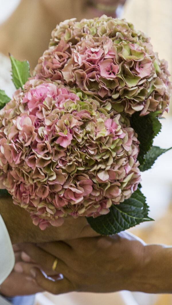 Lídia e Francisco de Casados à Primeira Vista