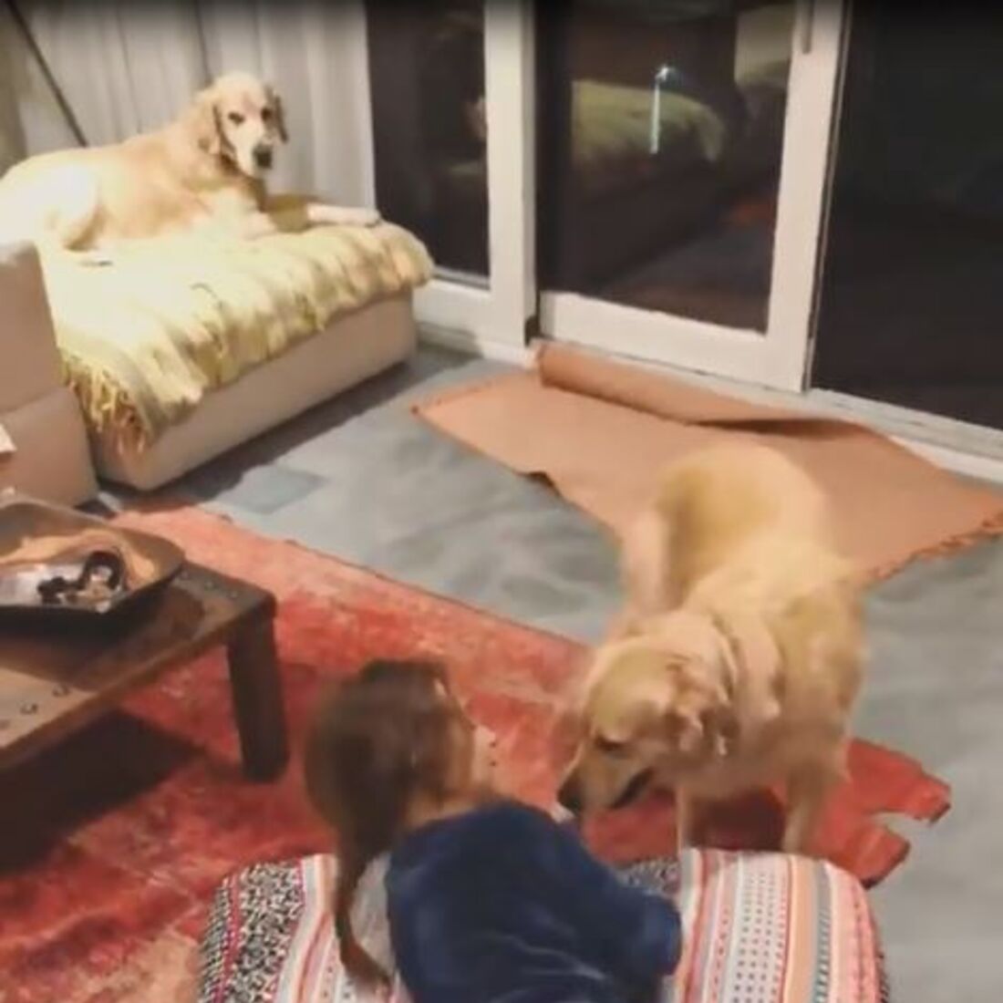 Cláudia Vieira, João Alves