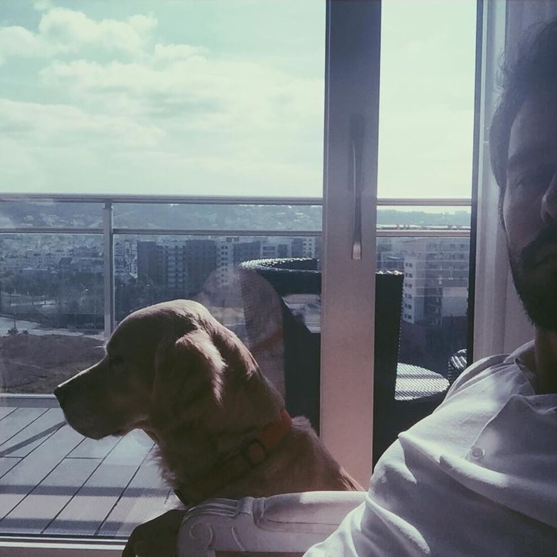 Cláudia Vieira, João Alves