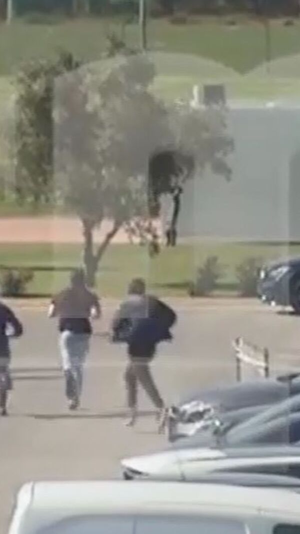 Academia de Alcochete, Sporting