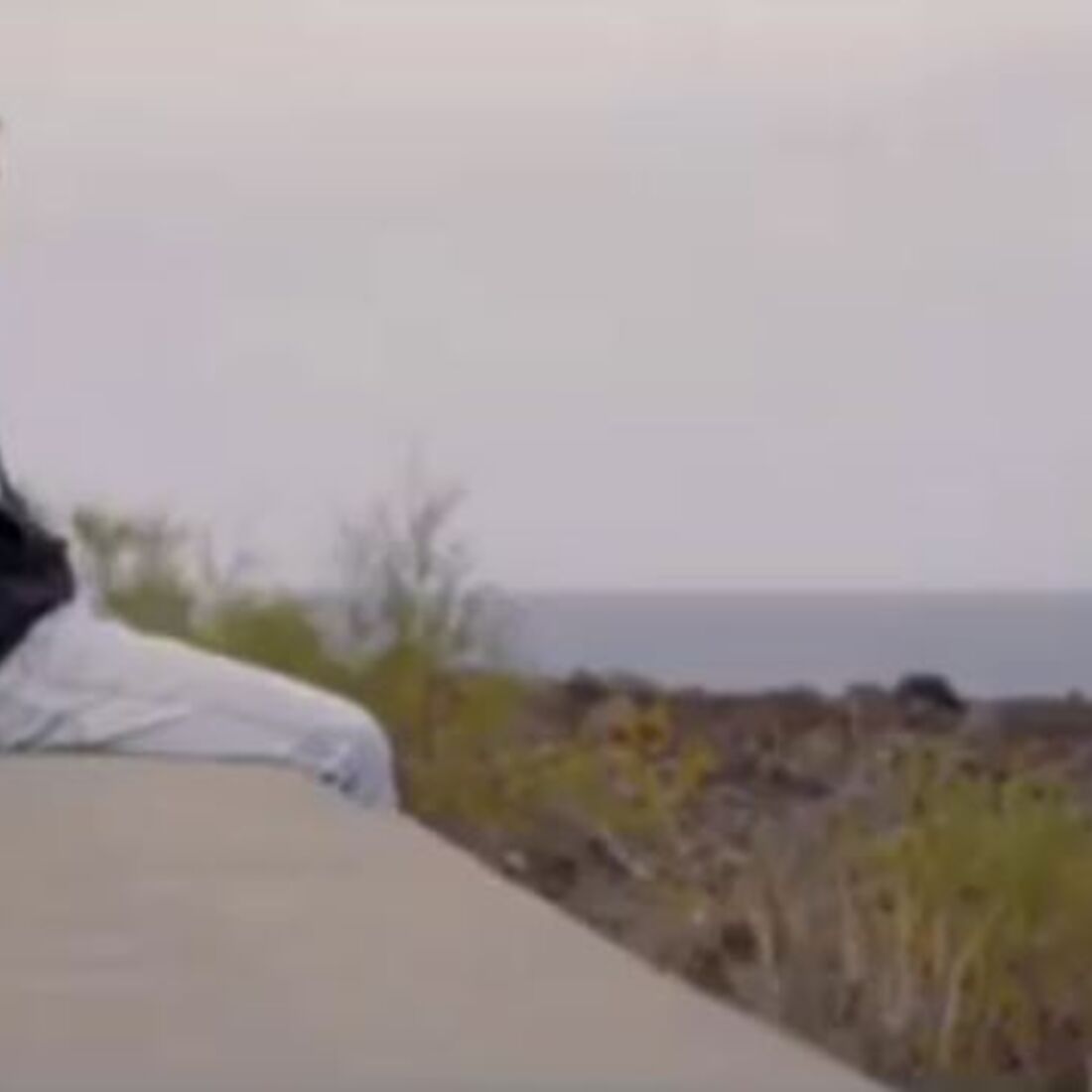 Agricultor, SIC, João Bettencourt