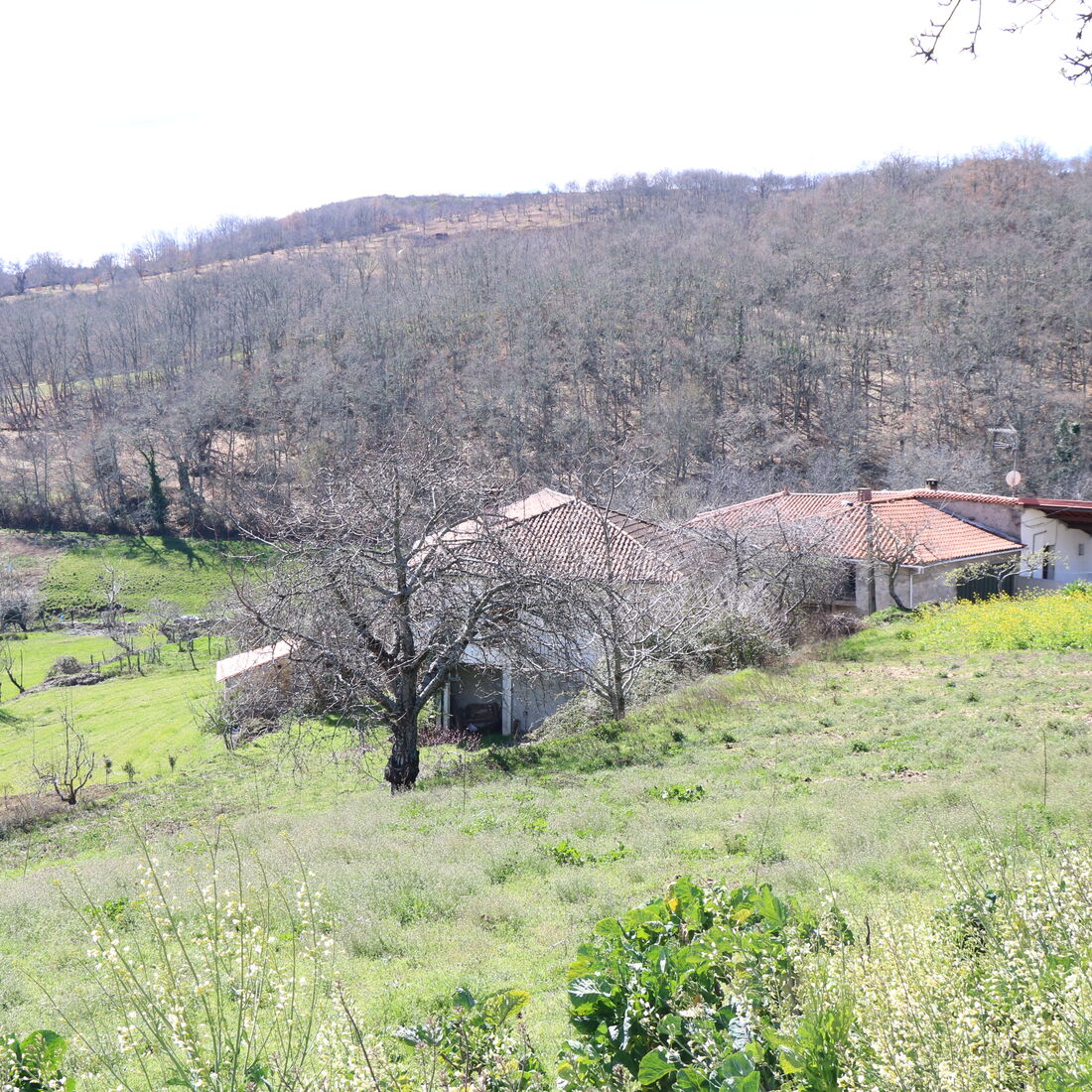 Quem quer namorar com o agricultor, SIC, Zélia, Ivo Pires