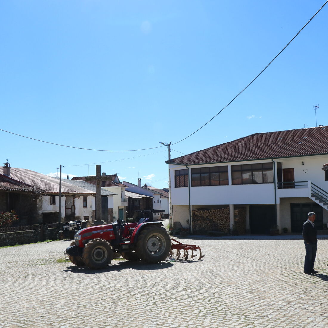 Quem quer namorar com o agricultor, SIC, Zélia, Ivo Pires