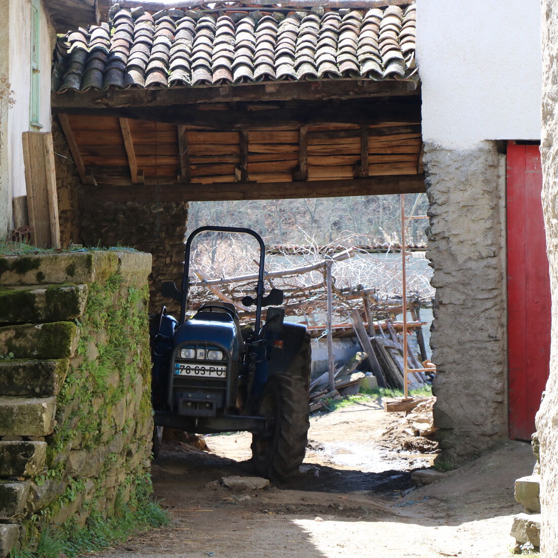 Quem quer namorar com o agricultor, SIC, Zélia, Ivo Pires
