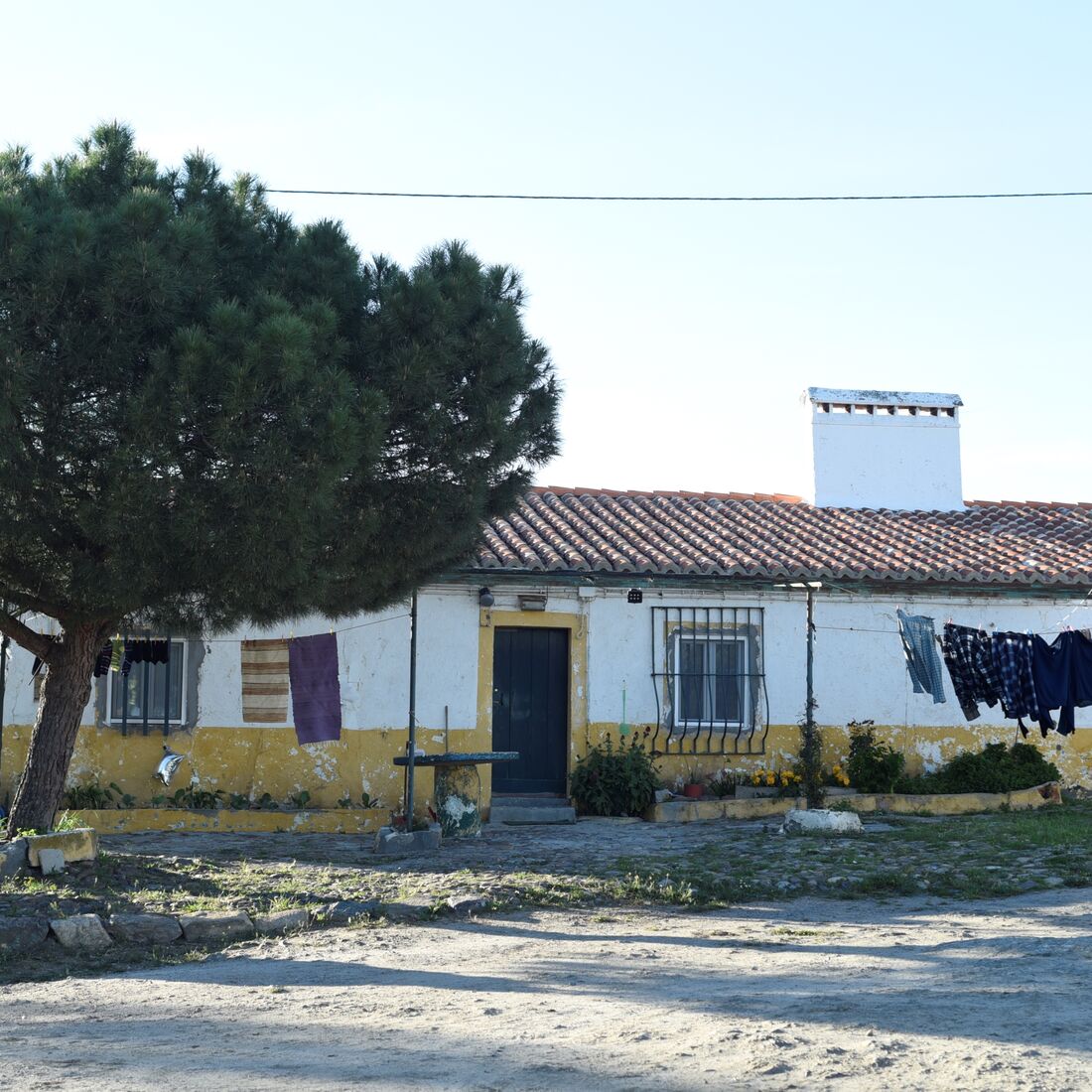 quem quer namorar com o agricultor, joão neves, alentejo