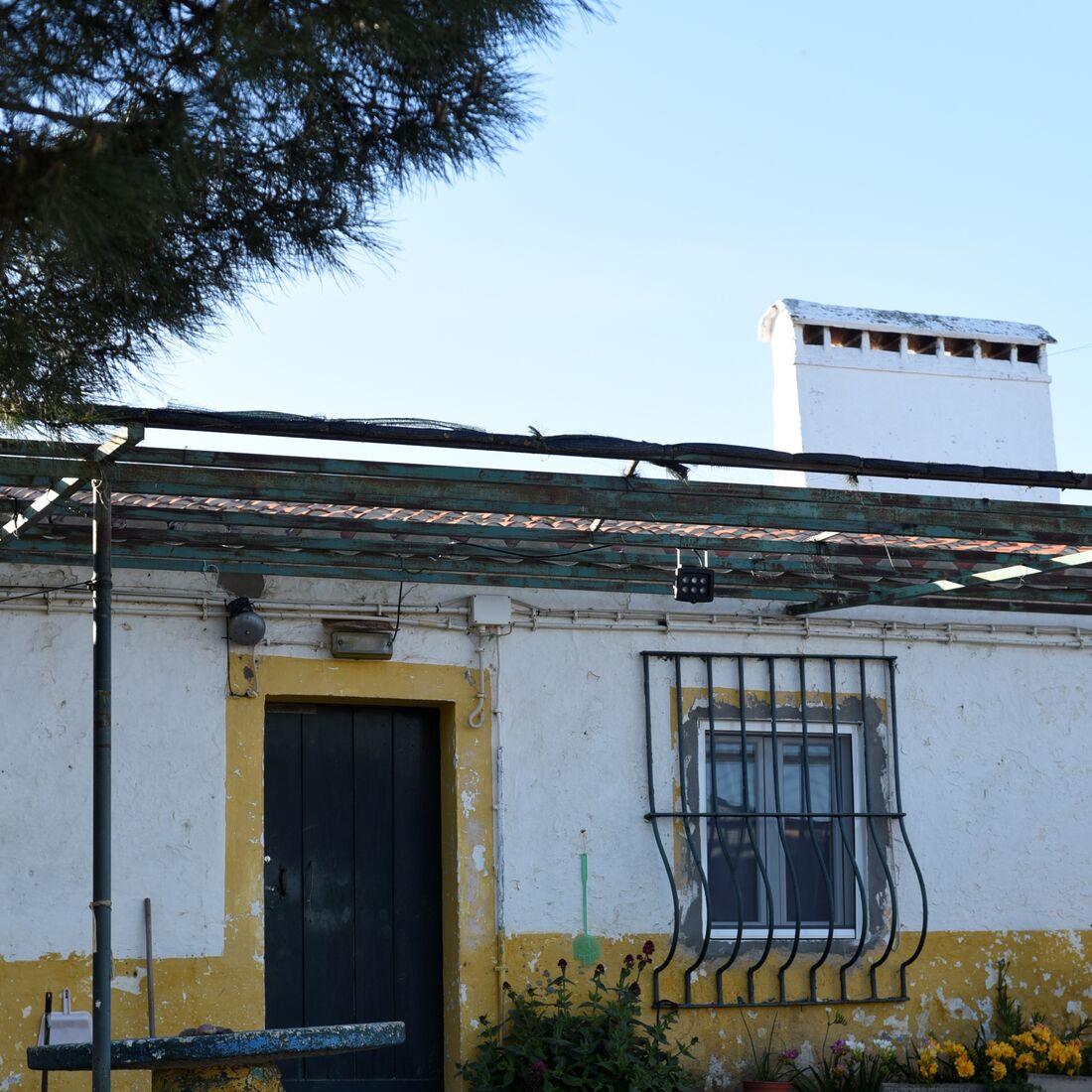 quem quer namorar com o agricultor, joão neves, alentejo