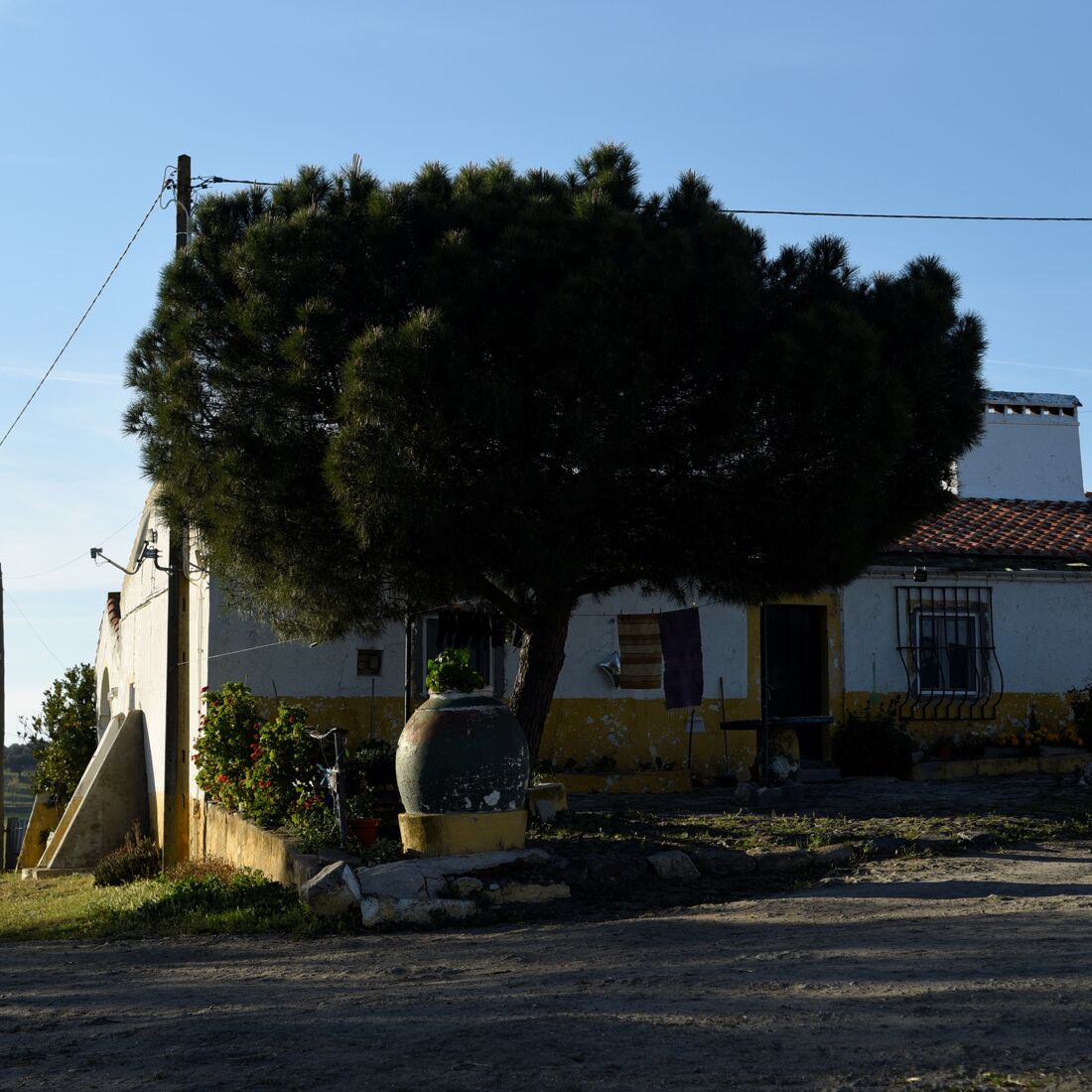 quem quer namorar com o agricultor, joão neves, alentejo