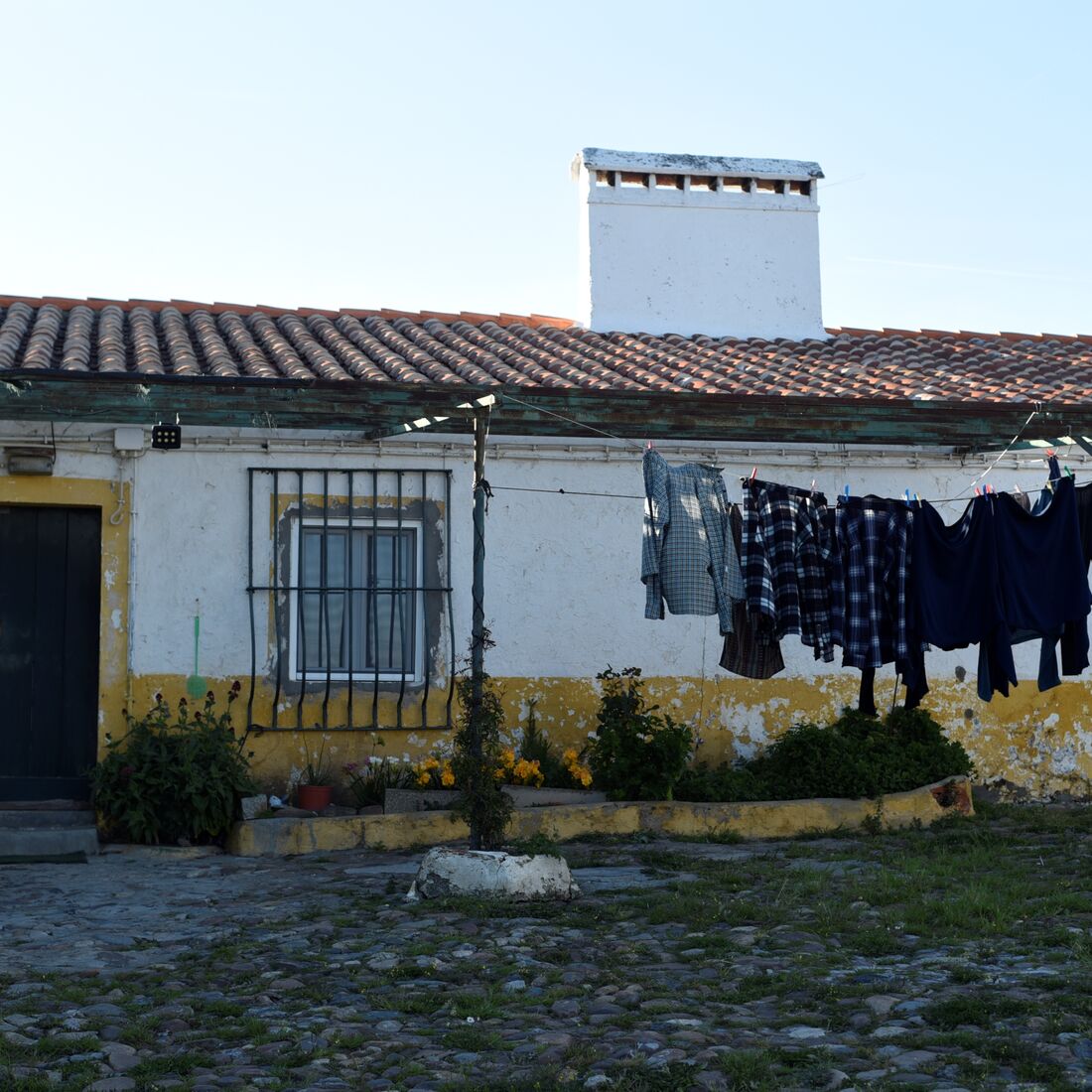 quem quer namorar com o agricultor, joão neves, alentejo