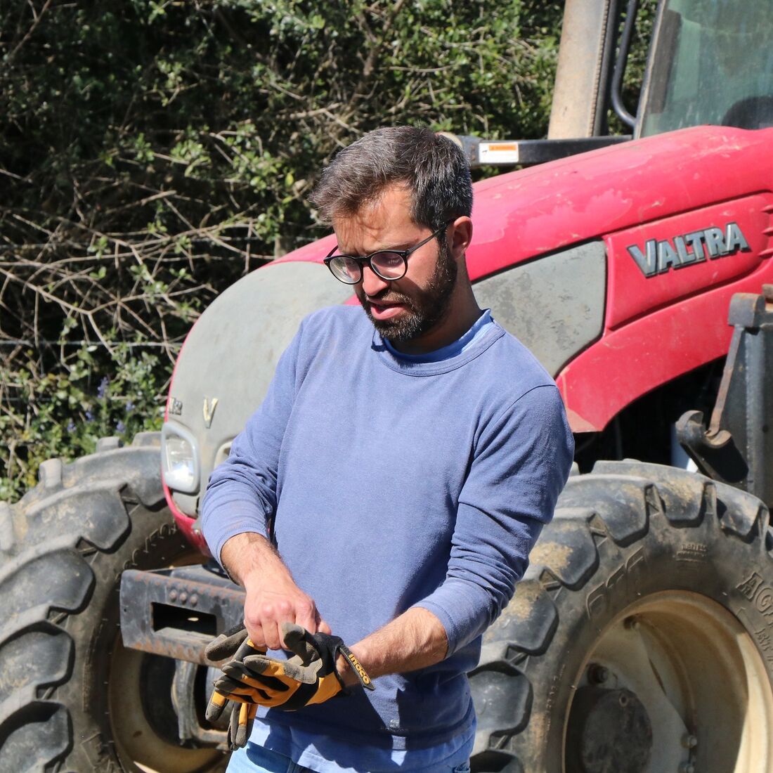 quem quer casar com o agricultor, SIC, João Menezes