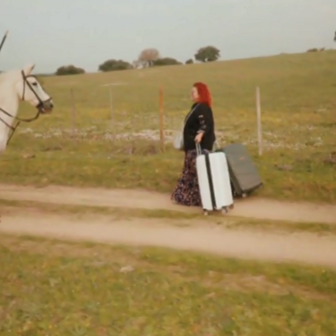 Quem quer namorar o agricultor?, SIC, João Neves, Alentejo, Elvas, casebre