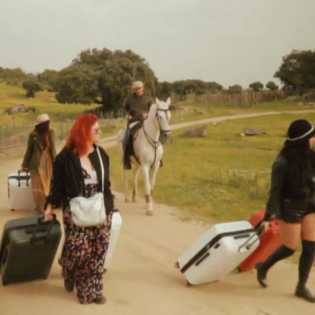 Quem quer namorar o agricultor?, SIC, João Neves, Alentejo, Elvas, casebre