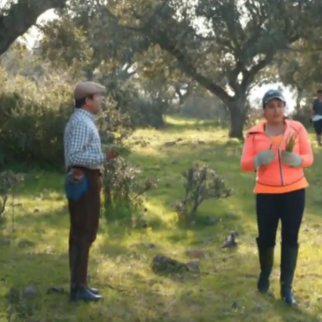 Quem quer namorar o agricultor?, SIC, João Neves, Alentejo, Elvas, casebre