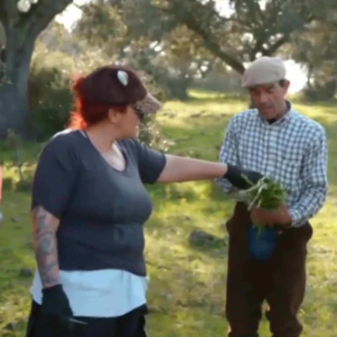 Quem quer namorar o agricultor?, SIC, João Neves, Alentejo, Elvas, casebre