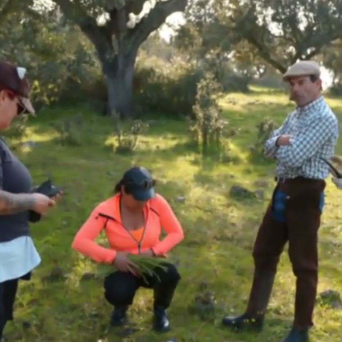 Quem quer namorar o agricultor?, SIC, João Neves, Alentejo, Elvas, casebre