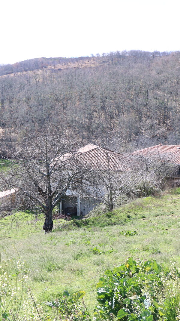 Quem quer namorar com o agricultor, SIC, Zélia, Ivo Pires