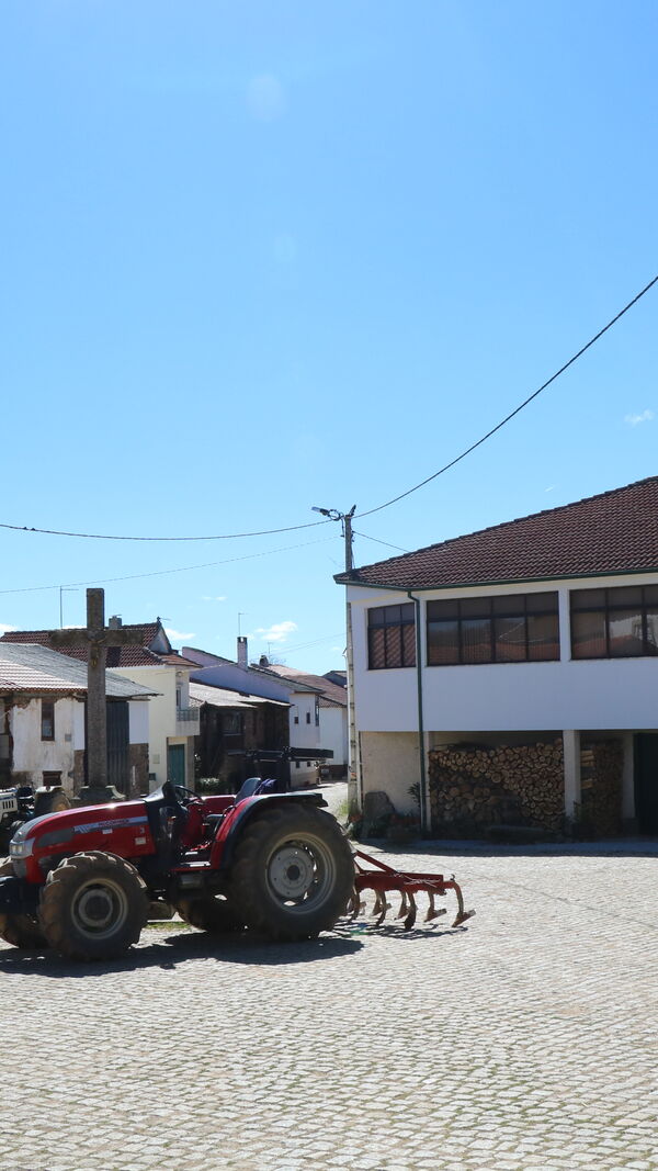 Quem quer namorar com o agricultor, SIC, Zélia, Ivo Pires