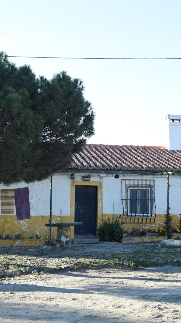 quem quer namorar com o agricultor, joão neves, alentejo