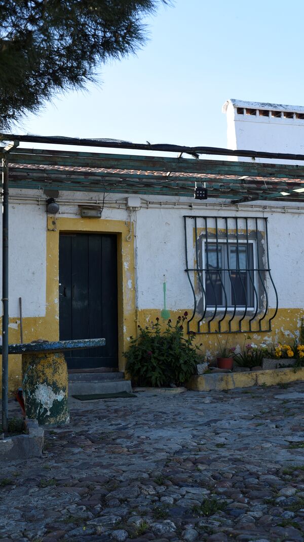 quem quer namorar com o agricultor, joão neves, alentejo