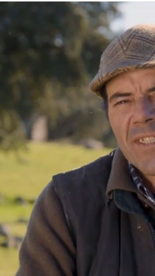 quem quer namorar com o agricultor, joão neves, alentejo