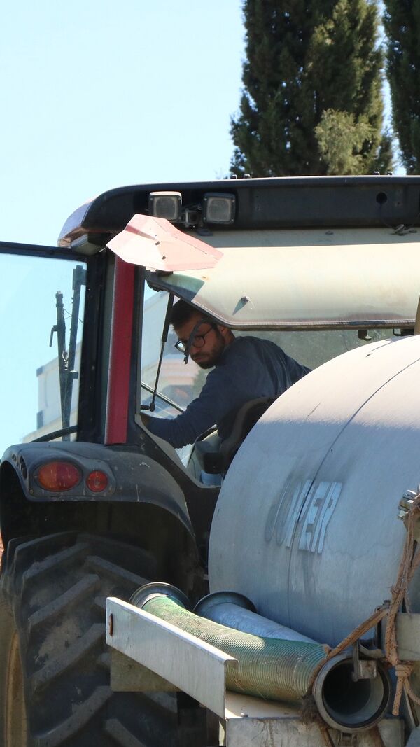 quem quer casar com o agricultor, SIC, João Menezes