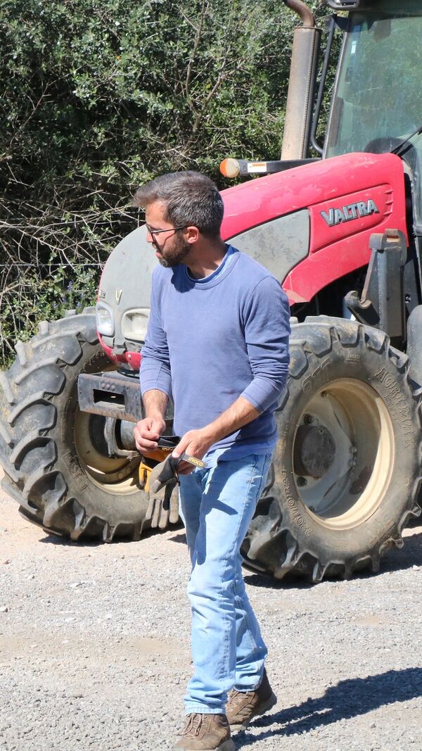 quem quer casar com o agricultor, SIC, João Menezes