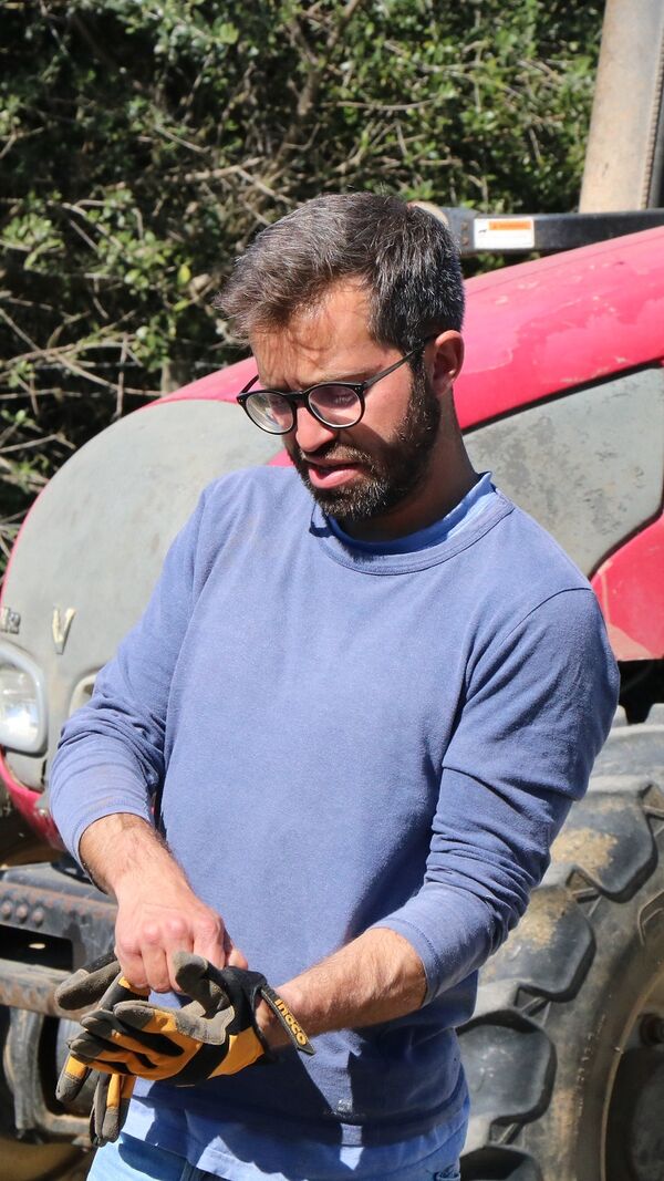 quem quer casar com o agricultor, SIC, João Menezes