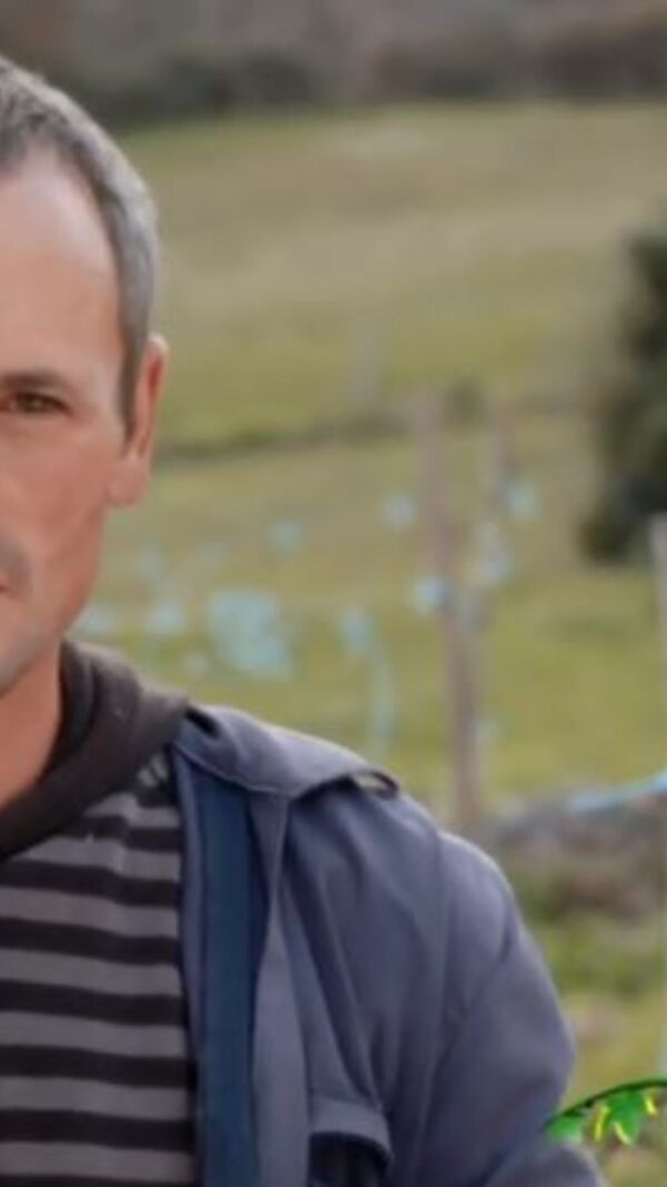 quem quer namorar com o agricultor, Susana, ivo pires