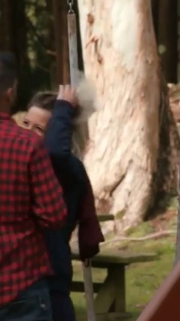 Quem quer namorar o agricultor?, SIC, agricultor SIC, agricultor, joão Bettencourt, graciosa, açores, paula, beatriz