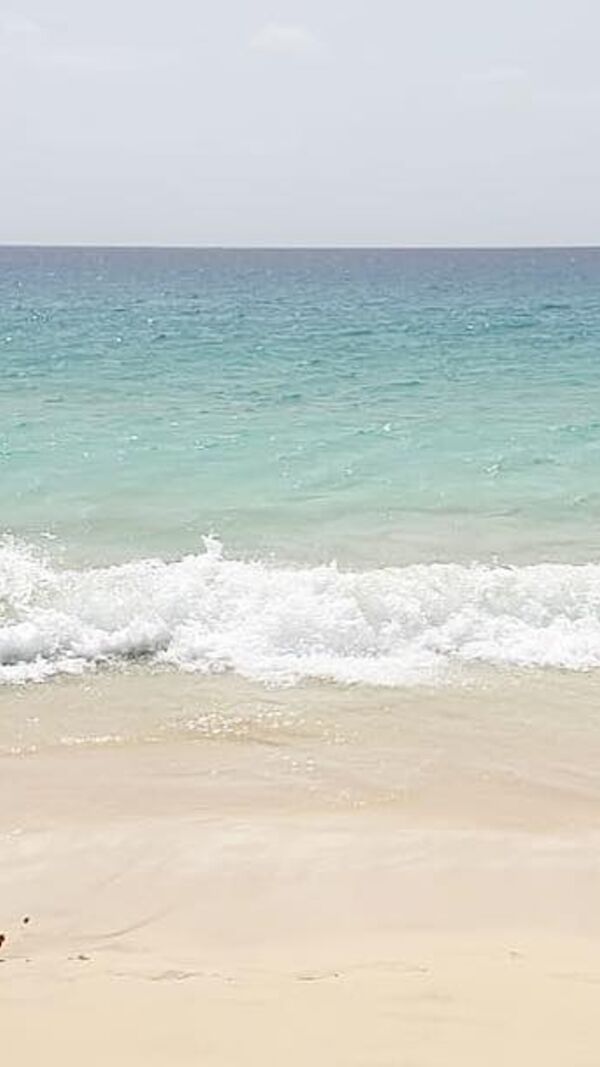 Cláudio Ramos, Diogo Faria, romance, namoro, ator, apresentador, sic, programa da cristina