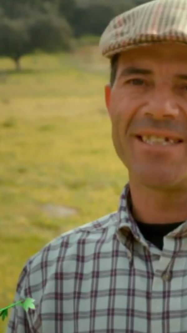 Quem quer casar com o meu filho?, João Neves