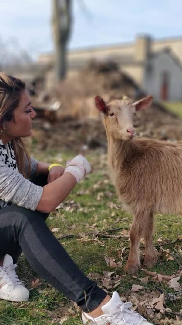 Soraia Araújo, Agricultor, SIC