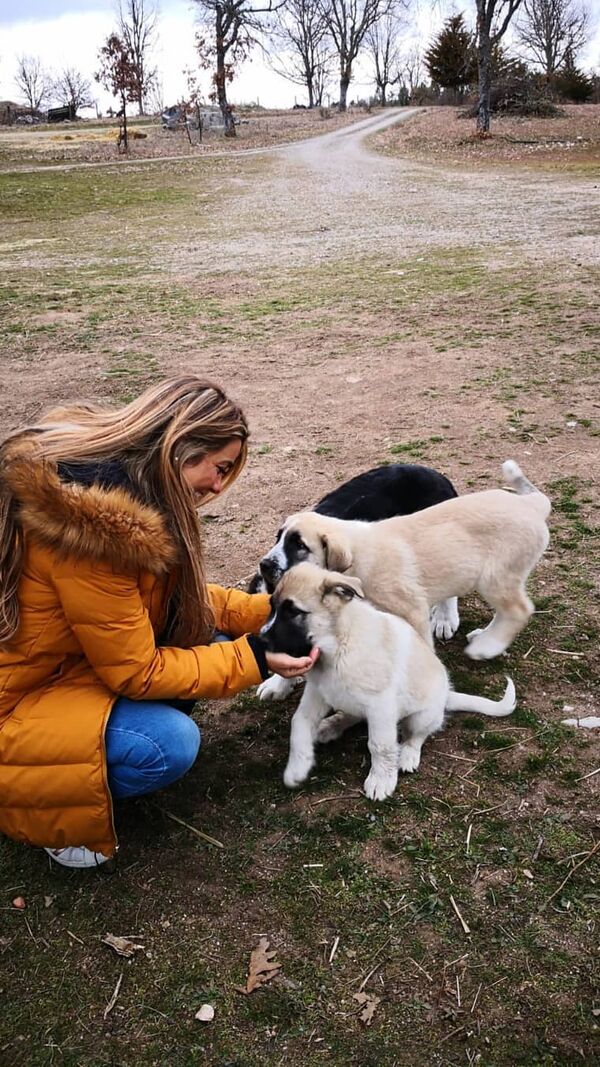 Soraia Araújo, Agricultor, SIC