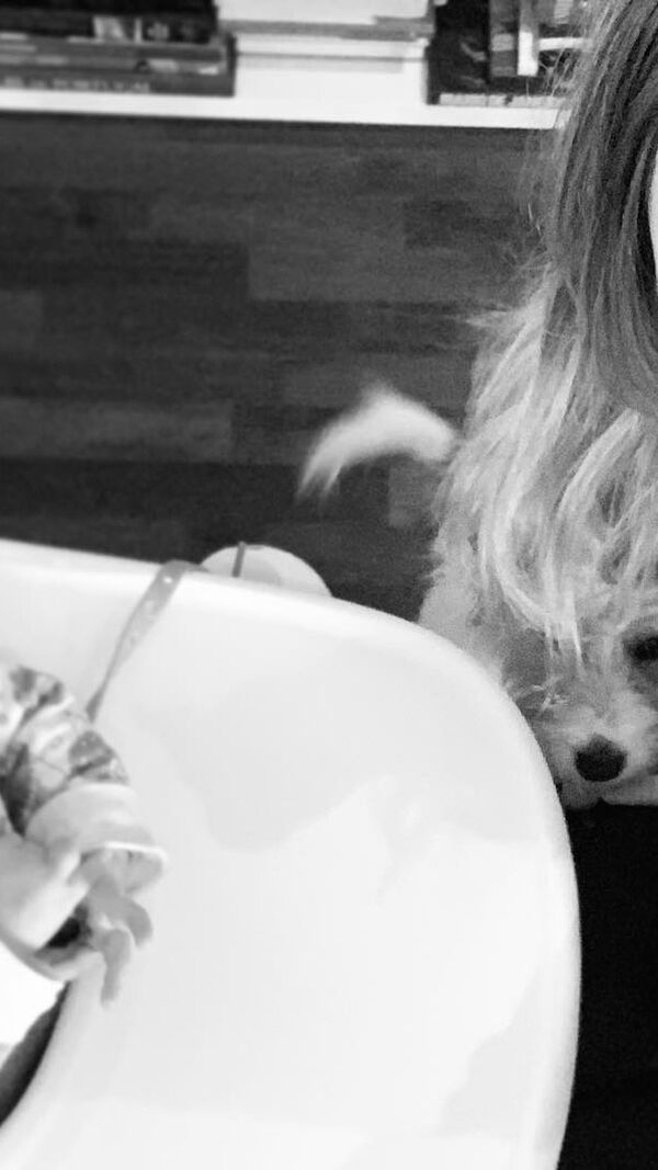 Daniel Oliveira e Andreia Rodrigues