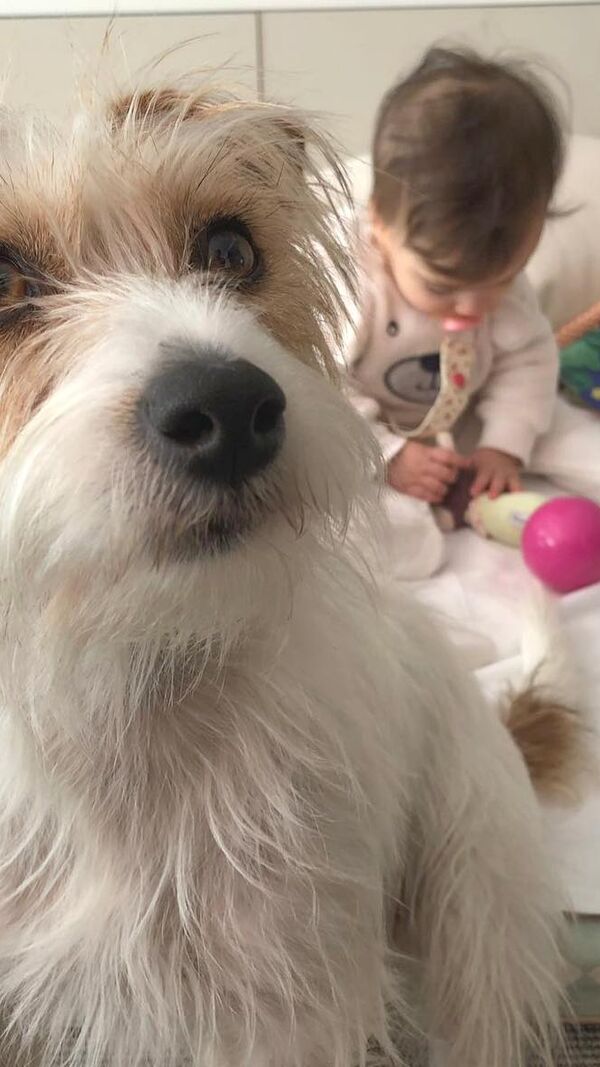 Daniel Oliveira e Andreia Rodrigues